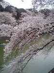 080328_1559~0001.jpg